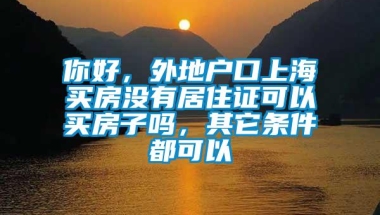 你好，外地户口上海买房没有居住证可以买房子吗，其它条件都可以