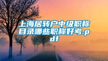 上海居转户中级职称目录哪些职称好考.pdf