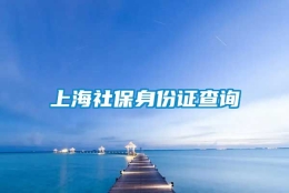 上海社保身份证查询