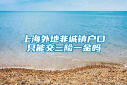 上海外地非城镇户口只能交三险一金吗