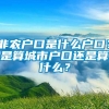 非农户口是什么户口？是算城市户口还是算什么？