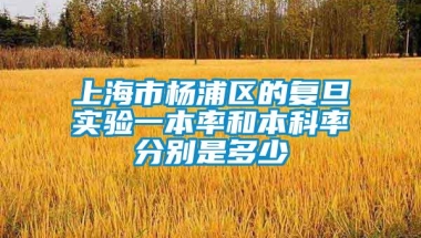 上海市杨浦区的复旦实验一本率和本科率分别是多少