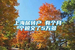 上海居转户 有个月个税交了5万多