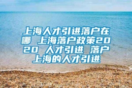 上海人才引进落户在哪 上海落户政策2020 人才引进 落户上海的人才引进