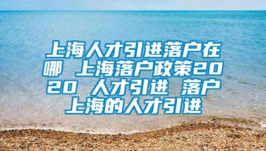 上海人才引进落户在哪 上海落户政策2020 人才引进 落户上海的人才引进