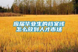 应届毕业生的档案该怎么放到人才市场