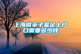 上海做亲子鉴定上户口需要多少钱