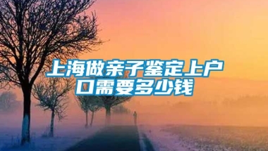 上海做亲子鉴定上户口需要多少钱