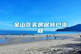 金山区买房居转户流程