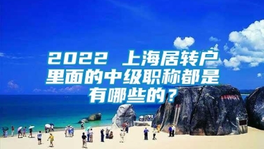 2022 上海居转户里面的中级职称都是有哪些的？