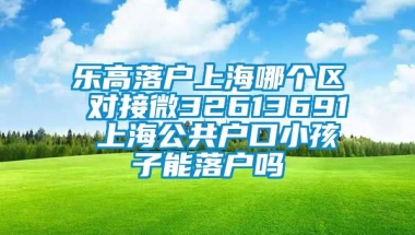 乐高落户上海哪个区 对接微32613691 上海公共户口小孩子能落户吗