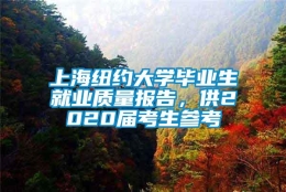 上海纽约大学毕业生就业质量报告，供2020届考生参考