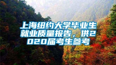 上海纽约大学毕业生就业质量报告，供2020届考生参考