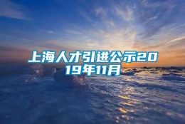 上海人才引进公示2019年11月