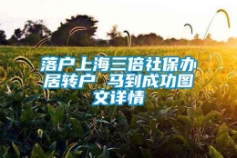 落户上海三倍社保办居转户 马到成功图文详情