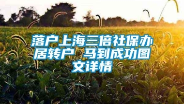 落户上海三倍社保办居转户 马到成功图文详情