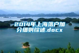 2014年上海落户加分细则综述.docx