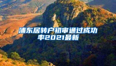 浦东居转户初审通过成功率2021最新