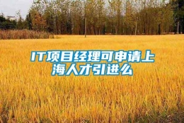 IT项目经理可申请上海人才引进么