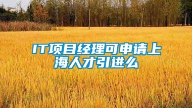 IT项目经理可申请上海人才引进么