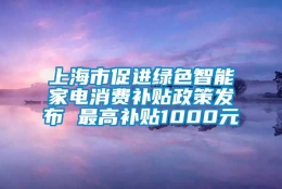 上海市促进绿色智能家电消费补贴政策发布 最高补贴1000元