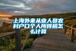 上海外来从业人员农村户口个人所得税怎么计算