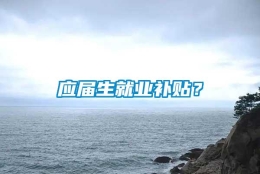 应届生就业补贴？