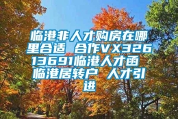 临港非人才购房在哪里合适 合作VX32613691临港人才函 临港居转户 人才引进