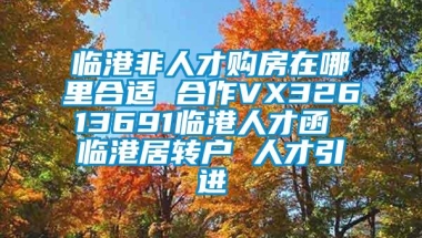 临港非人才购房在哪里合适 合作VX32613691临港人才函 临港居转户 人才引进