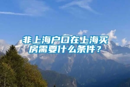 非上海户口在上海买房需要什么条件？