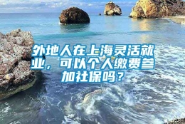 外地人在上海灵活就业，可以个人缴费参加社保吗？