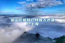 金山区居转户特殊人才落户上海