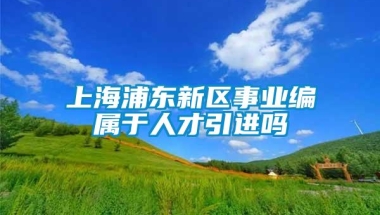 上海浦东新区事业编属于人才引进吗