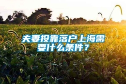 夫妻投靠落户上海需要什么条件？