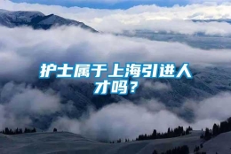 护士属于上海引进人才吗？