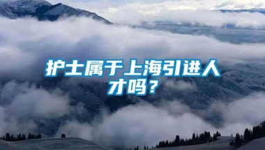 护士属于上海引进人才吗？