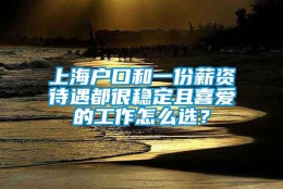 上海户口和一份薪资待遇都很稳定且喜爱的工作怎么选？