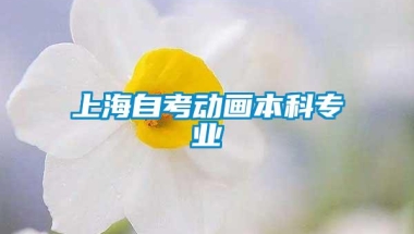 上海自考动画本科专业