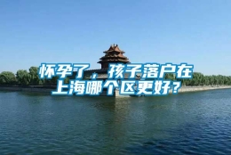 怀孕了，孩子落户在上海哪个区更好？