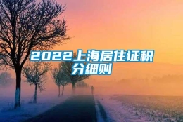 2022上海居住证积分细则