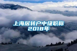 上海居转户中级职称2018年