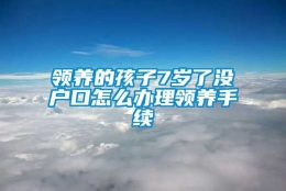 领养的孩子7岁了没户口怎么办理领养手续