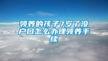 领养的孩子7岁了没户口怎么办理领养手续