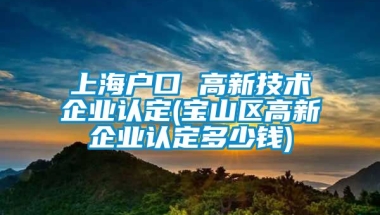 上海户口 高新技术企业认定(宝山区高新企业认定多少钱)