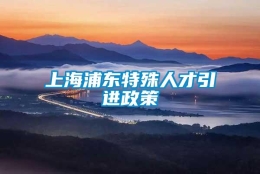 上海浦东特殊人才引进政策