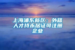 上海浦东新区：外籍人才持永居证可注册企业