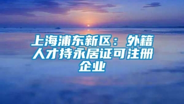 上海浦东新区：外籍人才持永居证可注册企业