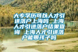 大专学历可以人才引进落户上海吗 上海人才引进落户结果查询 上海人才引进落户能带孩子吗