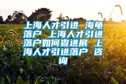 上海人才引进 海龟落户 上海人才引进落户如何查进展 上海人才引进落户 咨询