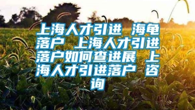 上海人才引进 海龟落户 上海人才引进落户如何查进展 上海人才引进落户 咨询